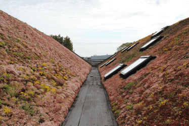 Wasserretentionsdach, Den Haag, NL